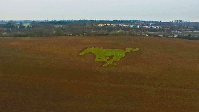 Ford_Mustang_almok_mezeje